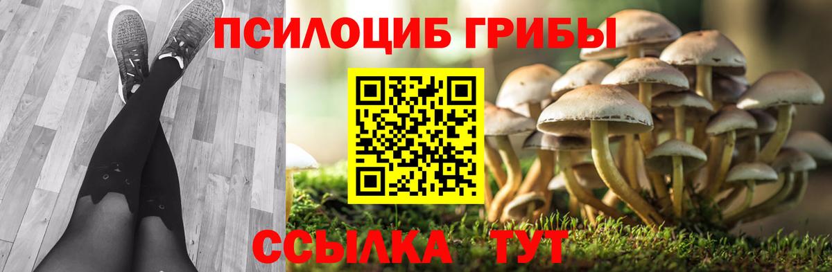 Муром  Галлюциногенные грибы прущие грибы  Вход с VPN 
